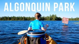 CLASSIC ALGONQUIN CANOE TRIP  DAY 1  CANOE LAKE 4K [upl. by Budwig404]