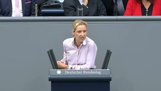 AfDChefin Weidel löst Tumulte aus „Burkas Kopftuchmädchen und sonstige Taugenichtse“ [upl. by Aitenev449]