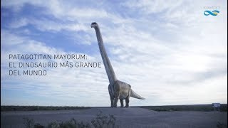 Patagotitan mayorum el dinosaurio más grande del mundo [upl. by Piderit]