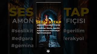 AMONTILLADO FIÇISI seslikitap edgarallanpoe zaferakyol gerilim korku geminaakademi diksiyon [upl. by Ransom129]