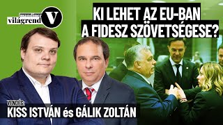 A jobboldal átrendeződése az EPválasztás után – Kiss István és Gálik Zoltán [upl. by Arelc]