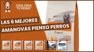 Las 6 mejores amanovas pienso perros [upl. by Rinna]