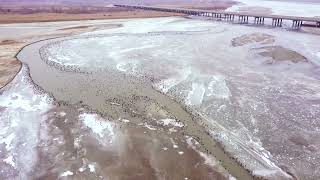 Aerial view of migratory birds flocking along Yarkand River in NW China’s Xinjiang [upl. by De122]