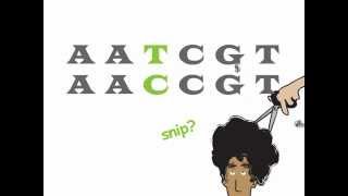 Genetics 101 Part 2 of 5 What are SNPs [upl. by Adianez533]