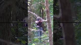 Did I Hit That Guy 28 Airsoft Sniper SHORTS [upl. by Ethelda]