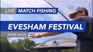 Live Match Fishing Evesham Festival Evesham Championship River Avon [upl. by Salisbarry]