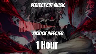 Sickick Infected  1 Hour Loop  Perfect Cut [upl. by Stelmach]