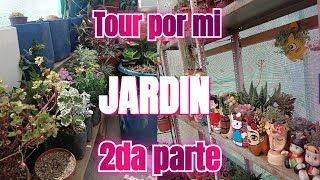 TOUR POR MI JARDIN 🌹🌻🌺 jardineandoconvero PARTE 2 plantas flores  viralvideo 😍🥰🏵🌸🪷 [upl. by Arytas681]