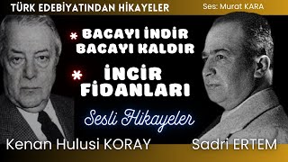 İki Ustadan İki hikaye  Türk Edebiyatından Sesli Kitaplar [upl. by Annim]