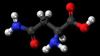 Asparagine  Asparagus Liver Function Cells Nerves Brain Diuretic Ammonia Proteins [upl. by Yntirb]