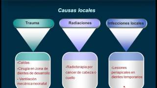 Anomalías dentarias parte II [upl. by Leseil]