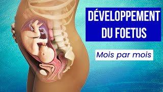 LA GROSSESSE  Le Développement du Foetus Mois par Mois [upl. by Genovera]