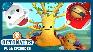 Octonauts  🎄 The Great Christmas Rescue ⛑️  Season 1  Full Episodes  Cartoons for Kids [upl. by Enar]