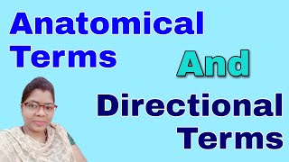 Anatomical Terms In Hindi  Anatomical Terms For Body Parts  Directional Terms Anatomy [upl. by Akirdna]