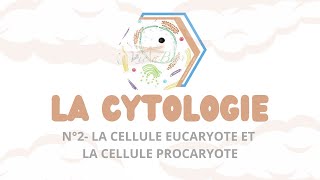 LA CYTOLOGIE  N°2 Les cellules procaryotes et eucaryotes [upl. by Chesna]