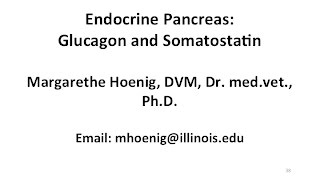 Endocrine Pancreas Glucagon and Somatostatin [upl. by Odnavres]