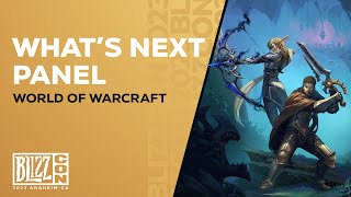 BlizzCon  The War Within Whats Next Panel  World of Warcraft [upl. by Donal]