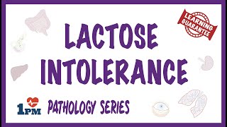 Lactose Intolerance  Pathophysiology Causes Signs and symptoms [upl. by Sydel]