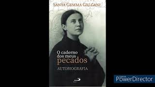 AUDIO LIVRO  O CADERNO DOS MEUS PECADOS  SANTA GEMA GALGANI [upl. by Henn420]