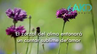 AKD  PRIMAVERA FELIZ  VOZ FEM D  MINUET G  BEETHOVEN [upl. by Etnovaj]