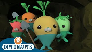 Octonauts  The Vegimals Save the Day  Full Episodes  Cartoons for Kids [upl. by Lovett]