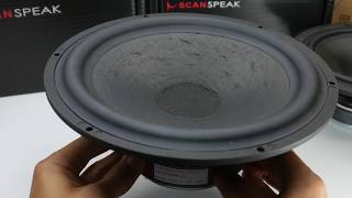 Scanspeak Classic 25W856500 10quot Woofer [upl. by Anni]