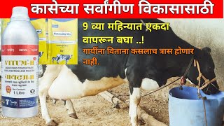 गायींना तसेच पहीलारू कालवडींसाठी नव्या महिन्यातील डोस  Vitum H आणि Metaboliteकासवाढी आणि तकतीसाठी [upl. by Delano]