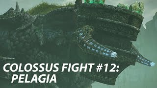 Shadow of the Colossus PS4  All Boss Fights  Bosses  Hard Time Attack [upl. by Islek]