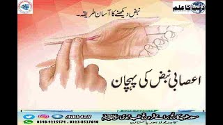 اعصابی نبض کیسے پہچانیںHow to recognize a nerve pulse [upl. by Mosnar238]