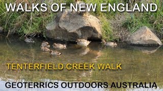 Tenterfield Creek Walk  plus Tenterfield Sculpture Walk in the picturesque Border Mountains [upl. by Hussey]