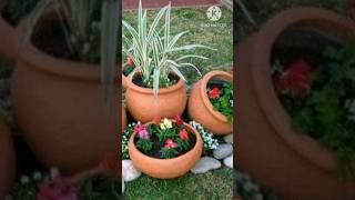 ll Different Types Of Gamla l Garden pot designs ll shorts ytshorts greenandgardening3562 [upl. by Idnim]