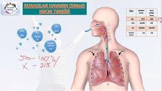 Biologiya DİM test toplusutənəffüs sistemi24253637 [upl. by Rett]