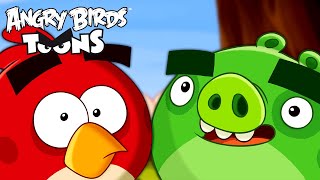 Angry Birds Toons Season 1  Ep 31 to 35 [upl. by Karolina]