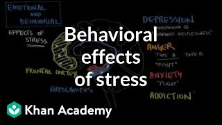 Behavioral effects of stress  Processing the Environment  MCAT  Khan Academy [upl. by Sung]