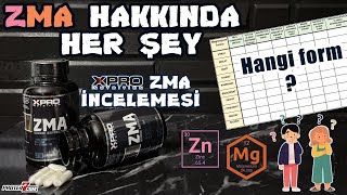 ZMA Hakkında Her Şey ve XPRO ZMA İncelemesi [upl. by Matilde637]