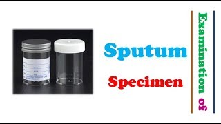 Microbiology 🔤  Examination of Sputum Specimen [upl. by Irihs832]