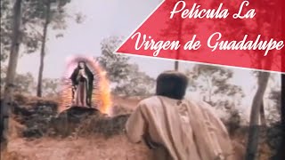 Película quotLa Virgen de Guadalupequot Narra la Historia de las Apariciones de la Virgen de Guadalupe [upl. by Angadresma]