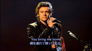 洋楽 和訳 Harry Styles  Sweet Creature [upl. by Any273]