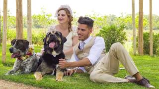 quotMaking ofquot de una Boda con Perros en adopción  Zankyou amp Yes We Pet [upl. by Minny]