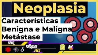 Neoplasias Benignas e Malignas  Características  Metástase Patologia Geral Atualizado 2022 [upl. by Ellinehc]