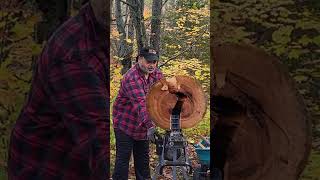 Showdown Yardworks 5 Ton Electric Log Splitter vs a 20quot Cherry Round Split or Quit [upl. by Rozelle]