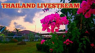 SPONTANEOUSLY LIVE APRIL 7 2024 livestream Thailand expatlife [upl. by Atika]