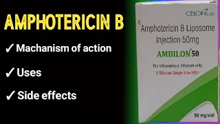 amphotericin b pharmacology [upl. by Dnomder]