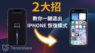 【修復supportapplecomiphonerestore】修復iPhone卡在恢復模式！Tenorshare ReiBoot for iOS [upl. by Matthews113]