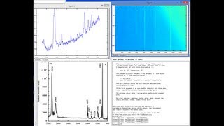 Intro to DIY Raman Spectroscopy [upl. by Brendan]