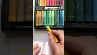 Unboxing Art supplies  📦 Giorgione oil pastels  Đập hộp màu sáp dầu Giorgione  Morandi shorts [upl. by Renell]