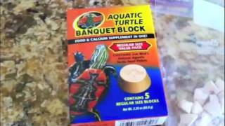 How To Give Extra Calcium to your Turtle [upl. by Ahcilef]