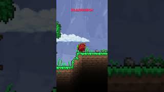 ТИР ЛИСТ ФРУКТОВ  TERRARIA 1449 [upl. by Yrakaz415]