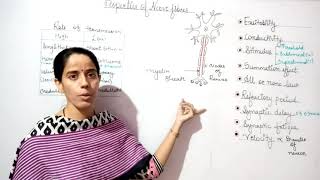 Nerve fibresproperties of nerve fibreallornone lawstimulusexcitabilitysummation effectvelocity [upl. by Ayotl]