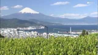 必見！ 富士山絶景スポット（静岡市） [upl. by Attenej342]